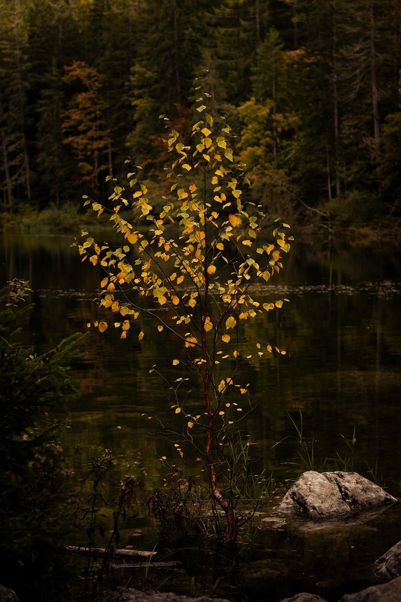 Wall-mounted Planters